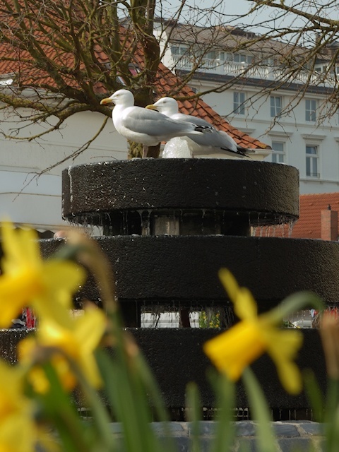 Der Frühling ist da